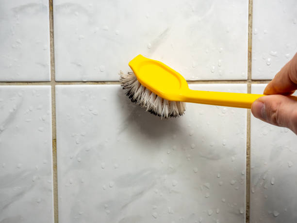 Best DIY Mold Remediation Support Services in Kathleen, FL